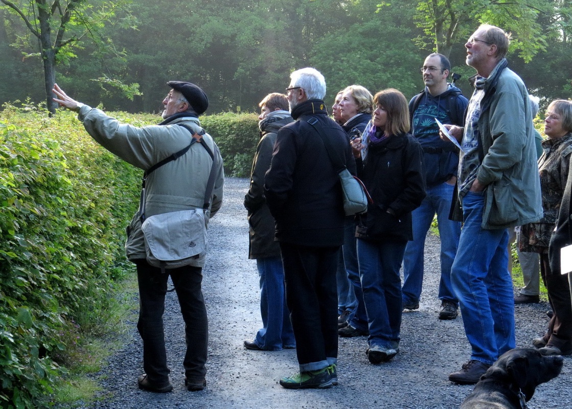 Vogelstimmen-Frühwanderung
