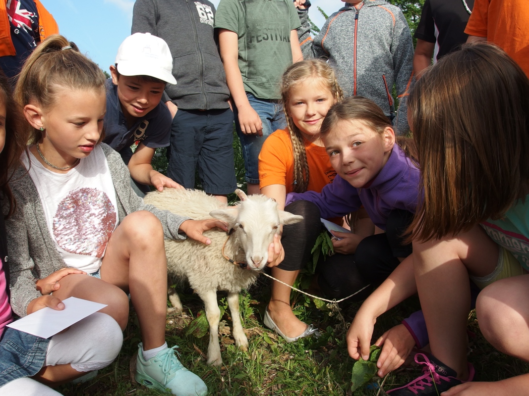 Skudde Elli zu Besuch