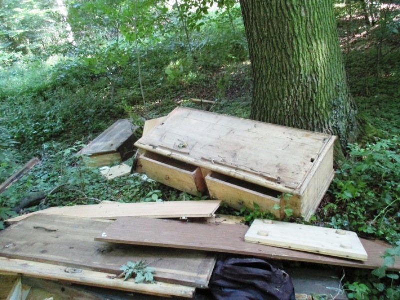 Müll im Wald entsorgt