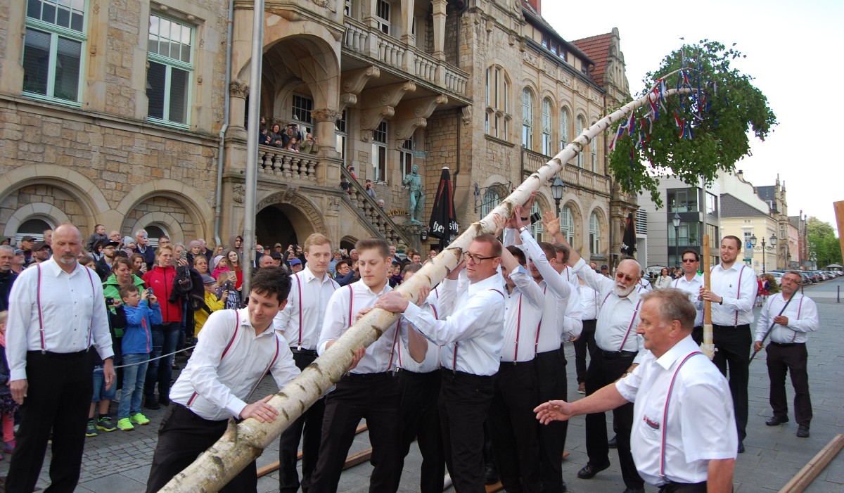 Bürgerbataillon stellt Maibaum auf</br>Traditionelle Feier auf dem Marktplatz