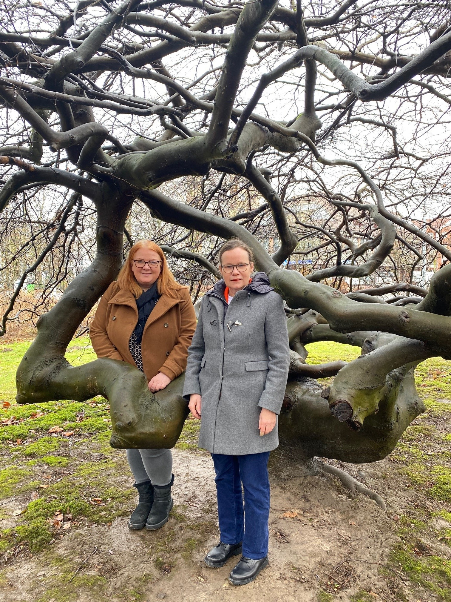 Andrea Stüdemann, Erste Kreisrätin des Landkreises Schaumburg, und Dr. Lu Seegers, Geschäftsführerin der Schaumburger Landschaft, stehen vor der Süntelbuche am Kreishaus in Stadthagen.